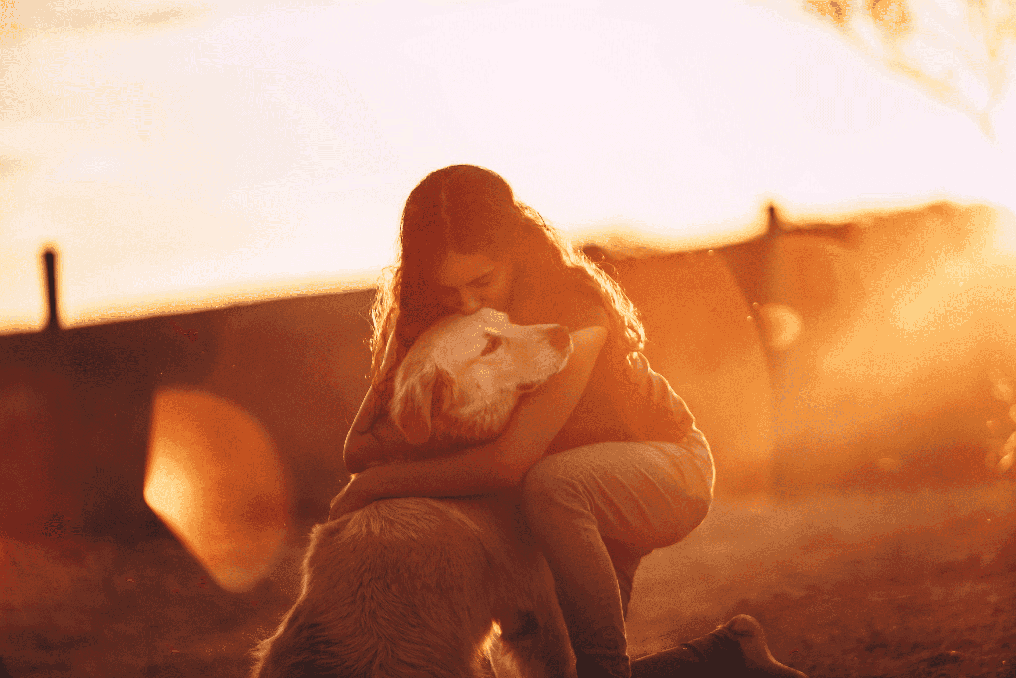 A girl hugging her white golden retriever in the sunset, warm light