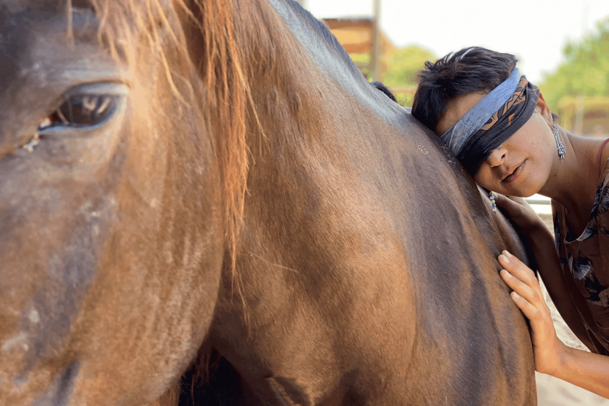 A blindfolded young woman gently petting the side of an old brown horse